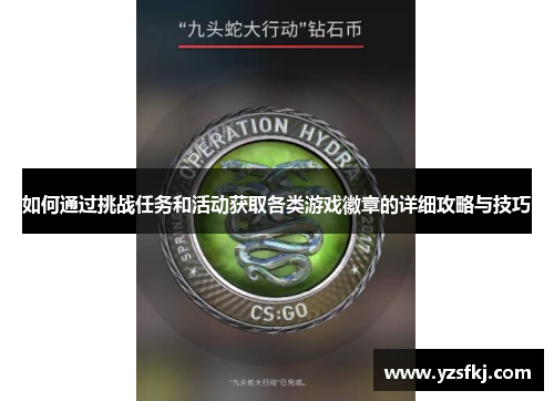 如何通过挑战任务和活动获取各类游戏徽章的详细攻略与技巧